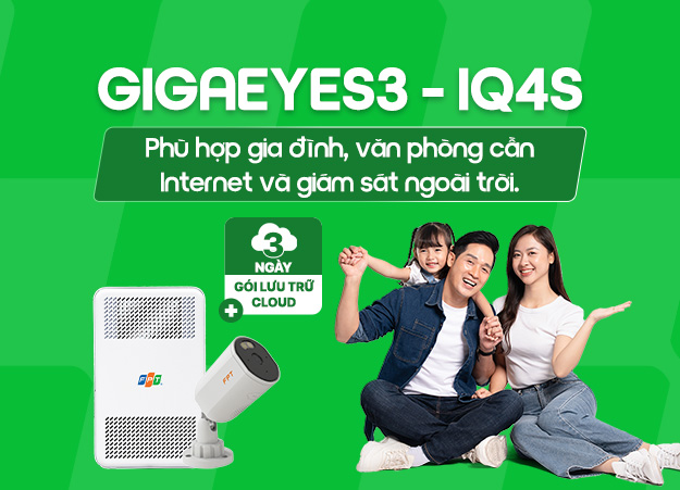 GigaEyes3 IQ4S ( 1 cam)