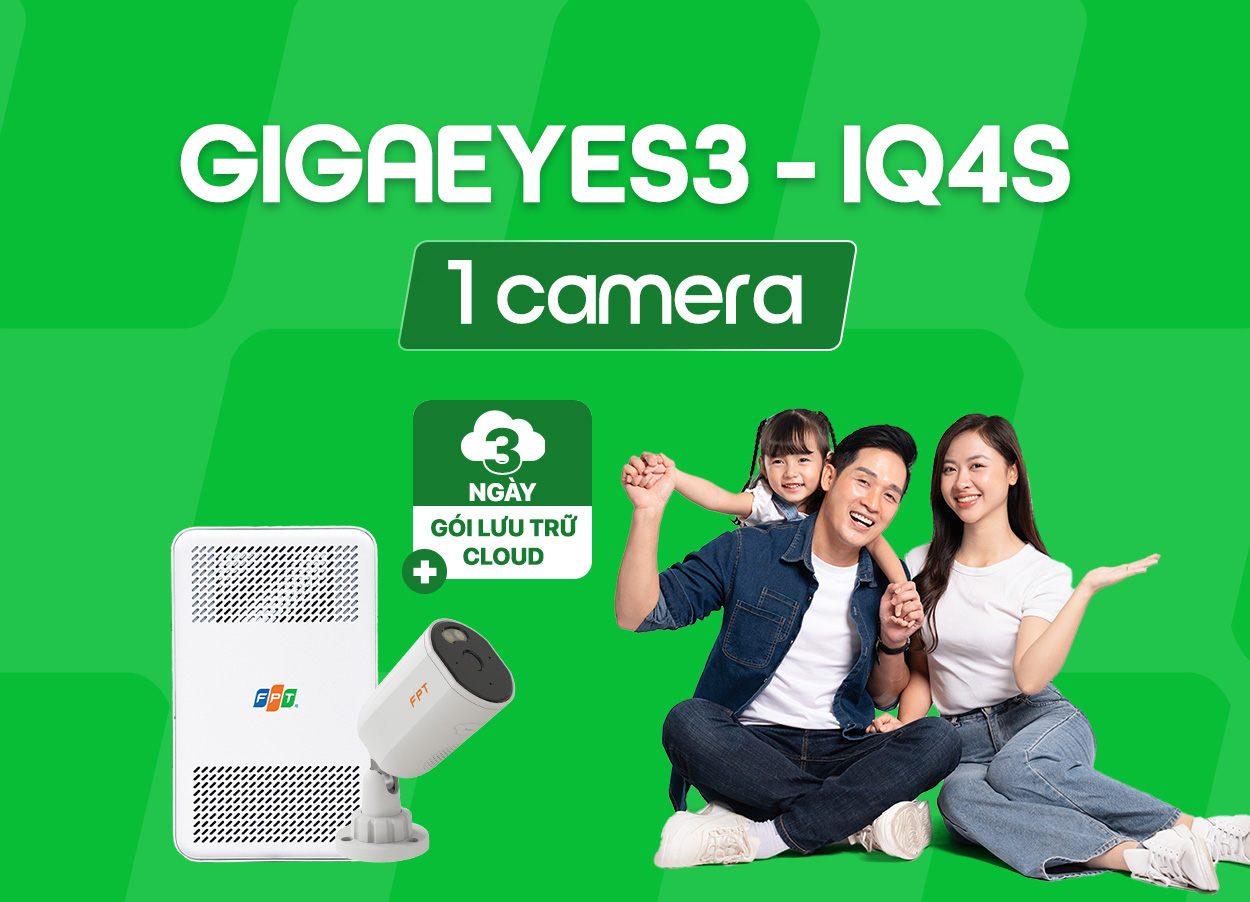 GigaEyes3 IQ4S ( 1 cam)