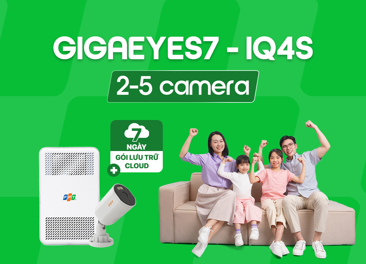 GigaEyes7 IQ4S ( 2 - 5 cam)